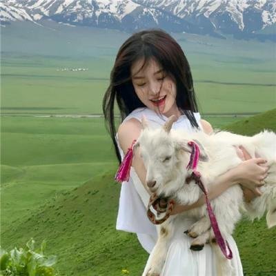 极地情天